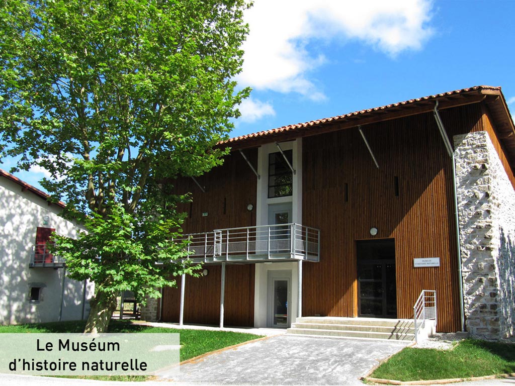 Muséum d'histoire naturelle de Bayonne