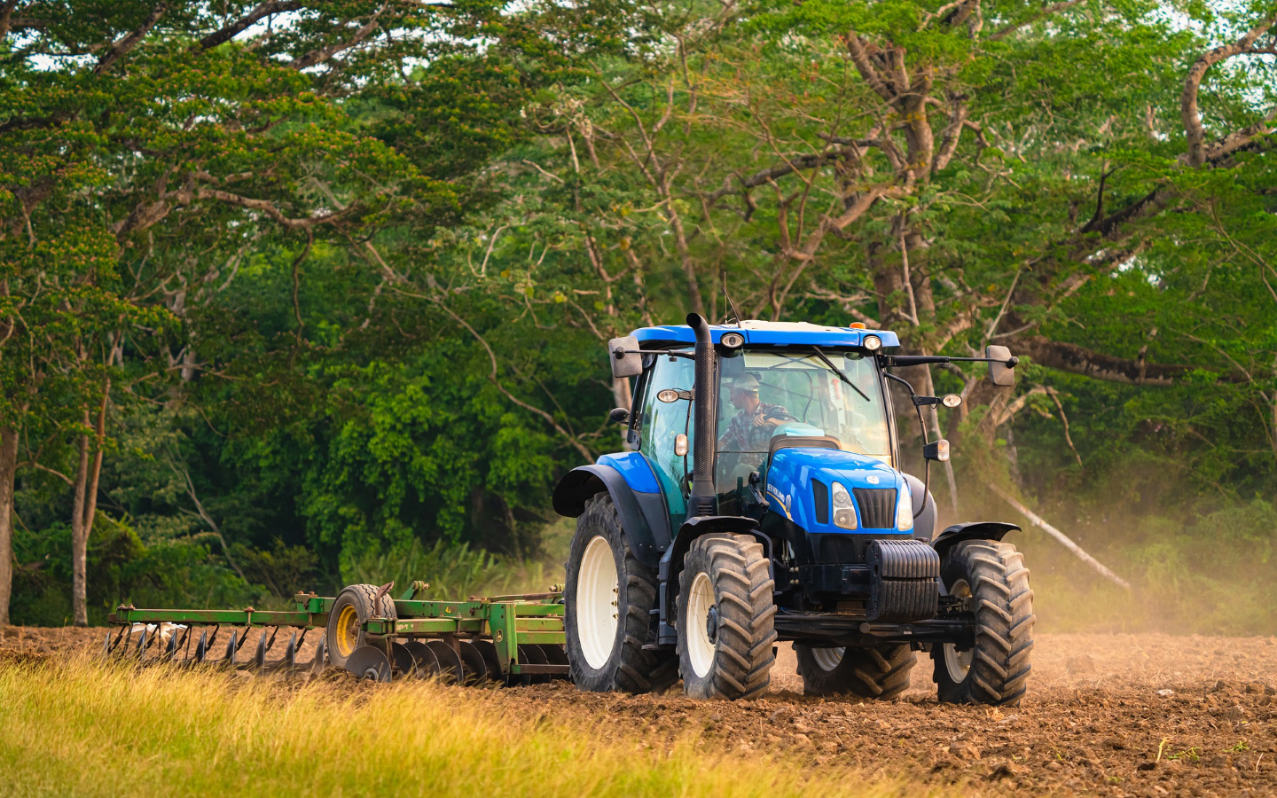 Crise agricole ? Crise de société ?, des piste ...