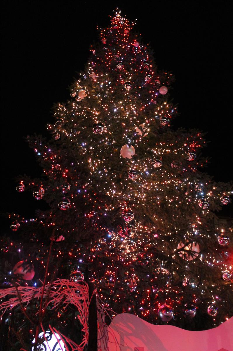 Le sapin féérique : Abracadabouille !