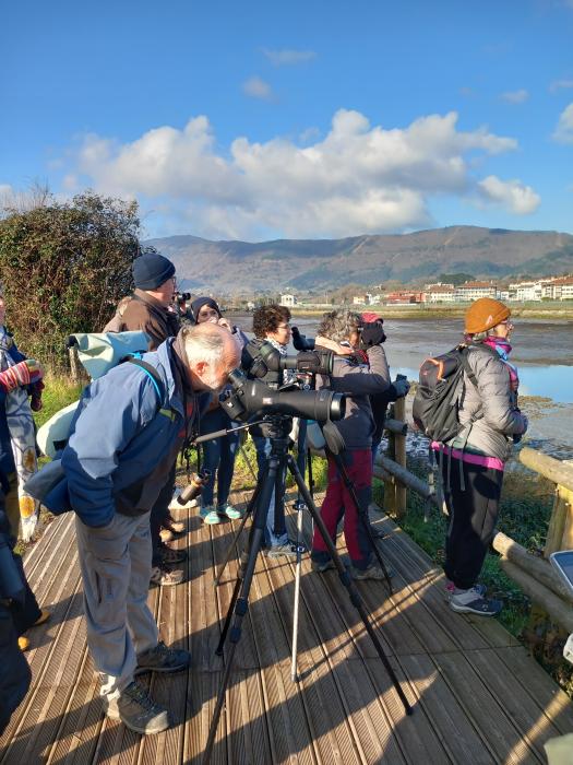 Ornithologie transfrontalière sur la baie de T ...