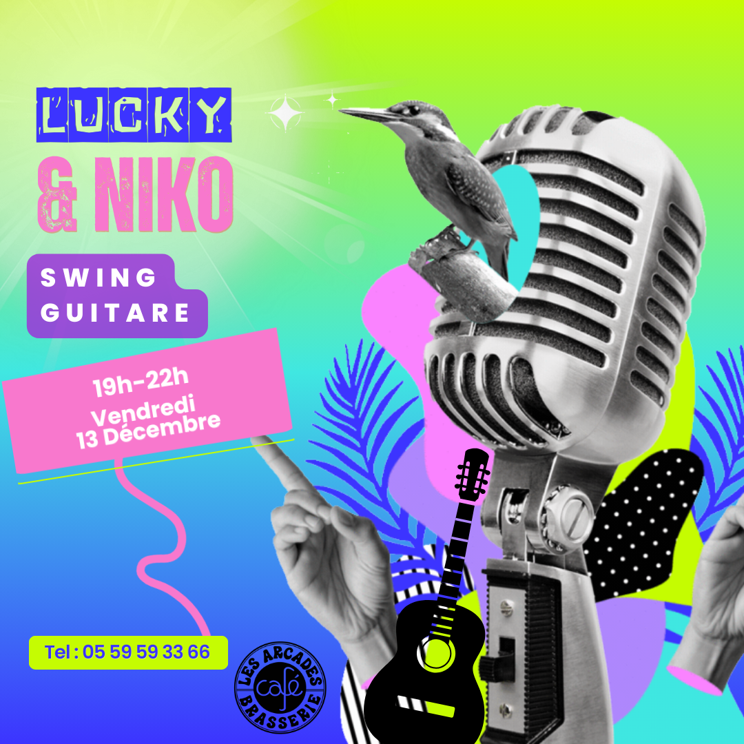 Concert de Lucky et Niko