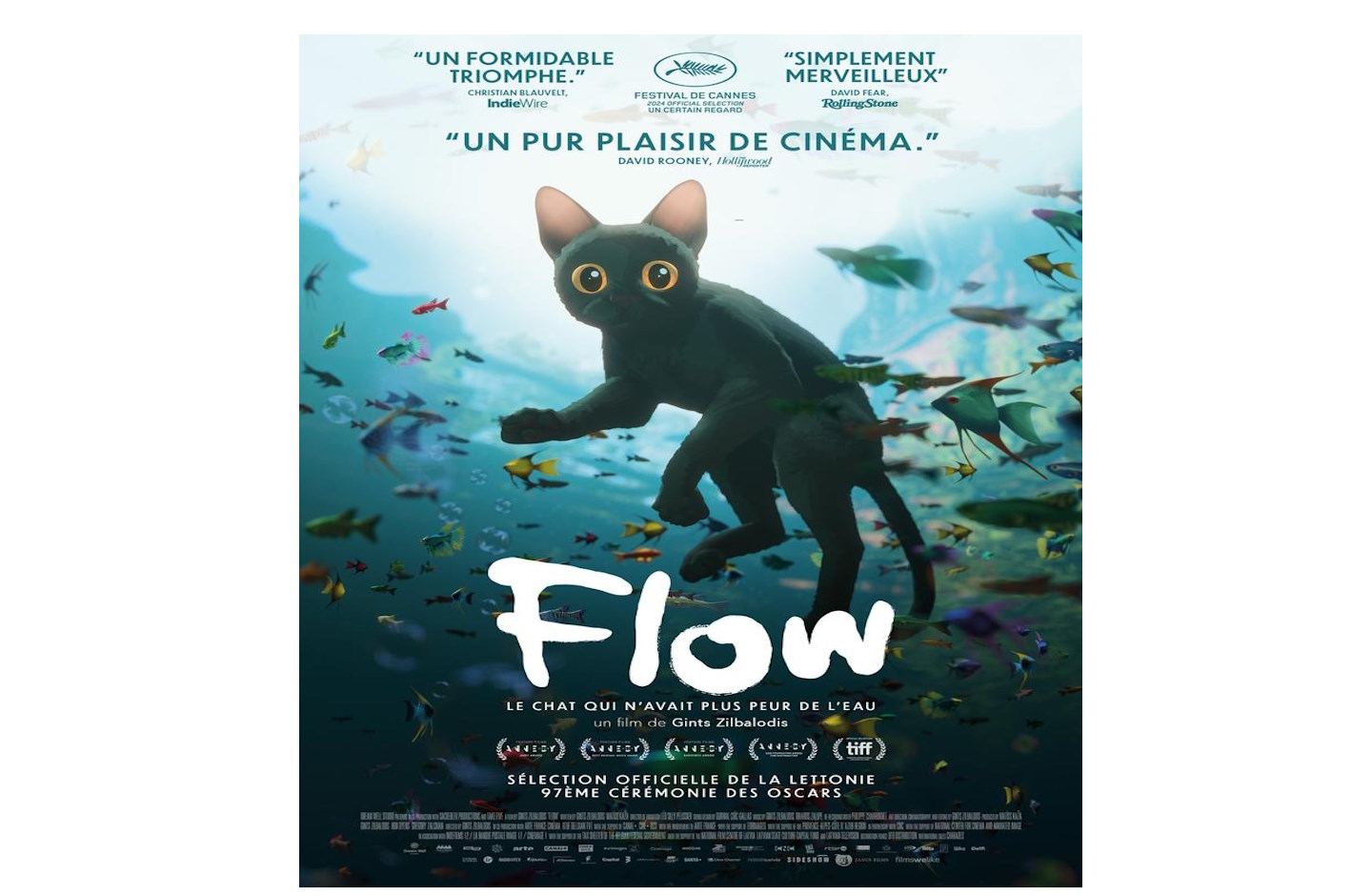 Séance de cinéma : Film Flow