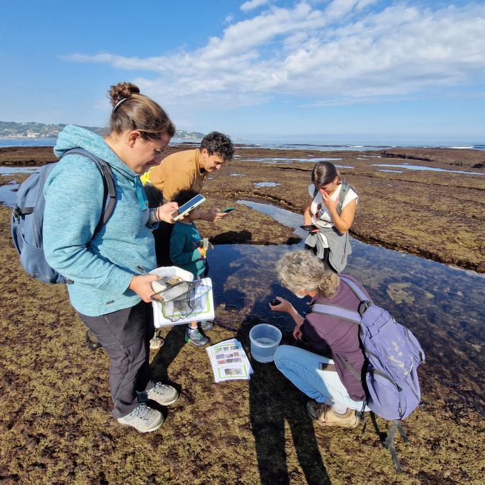 Observateurs du Littoral : découvrez la riches ...