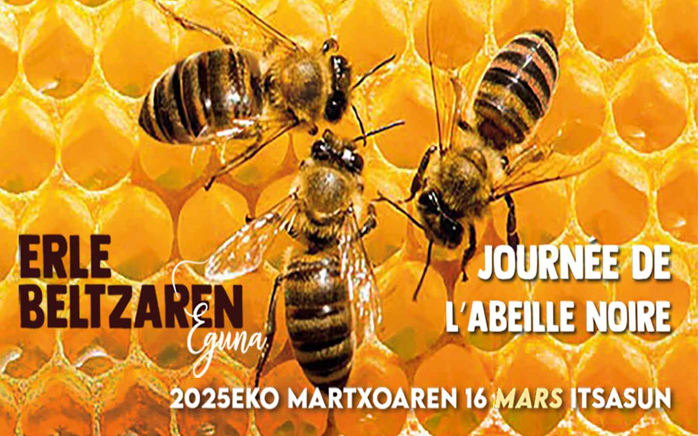 Journée de l'abeille noire