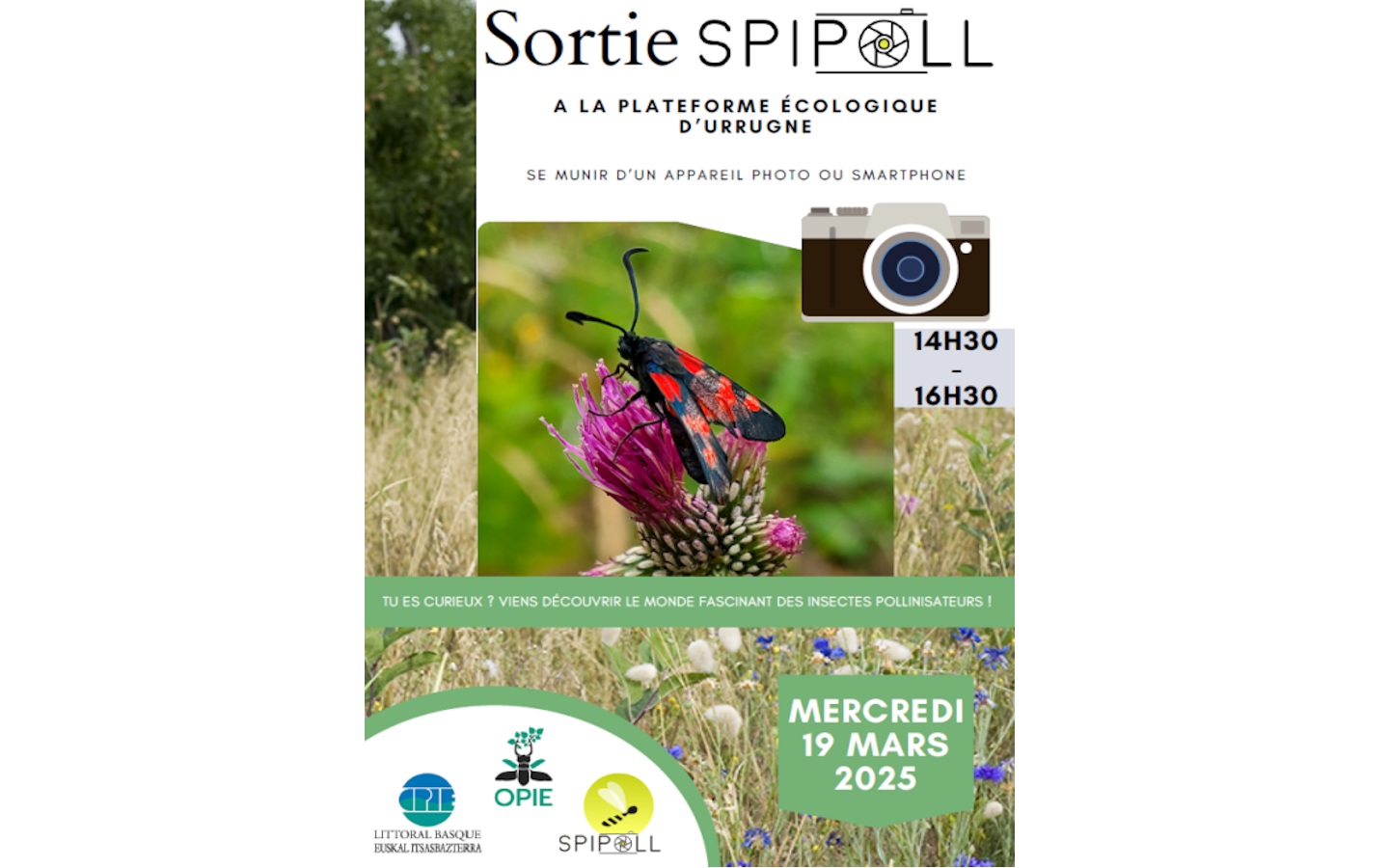 Sortie nature CPIE : balade botanique, cueille ...