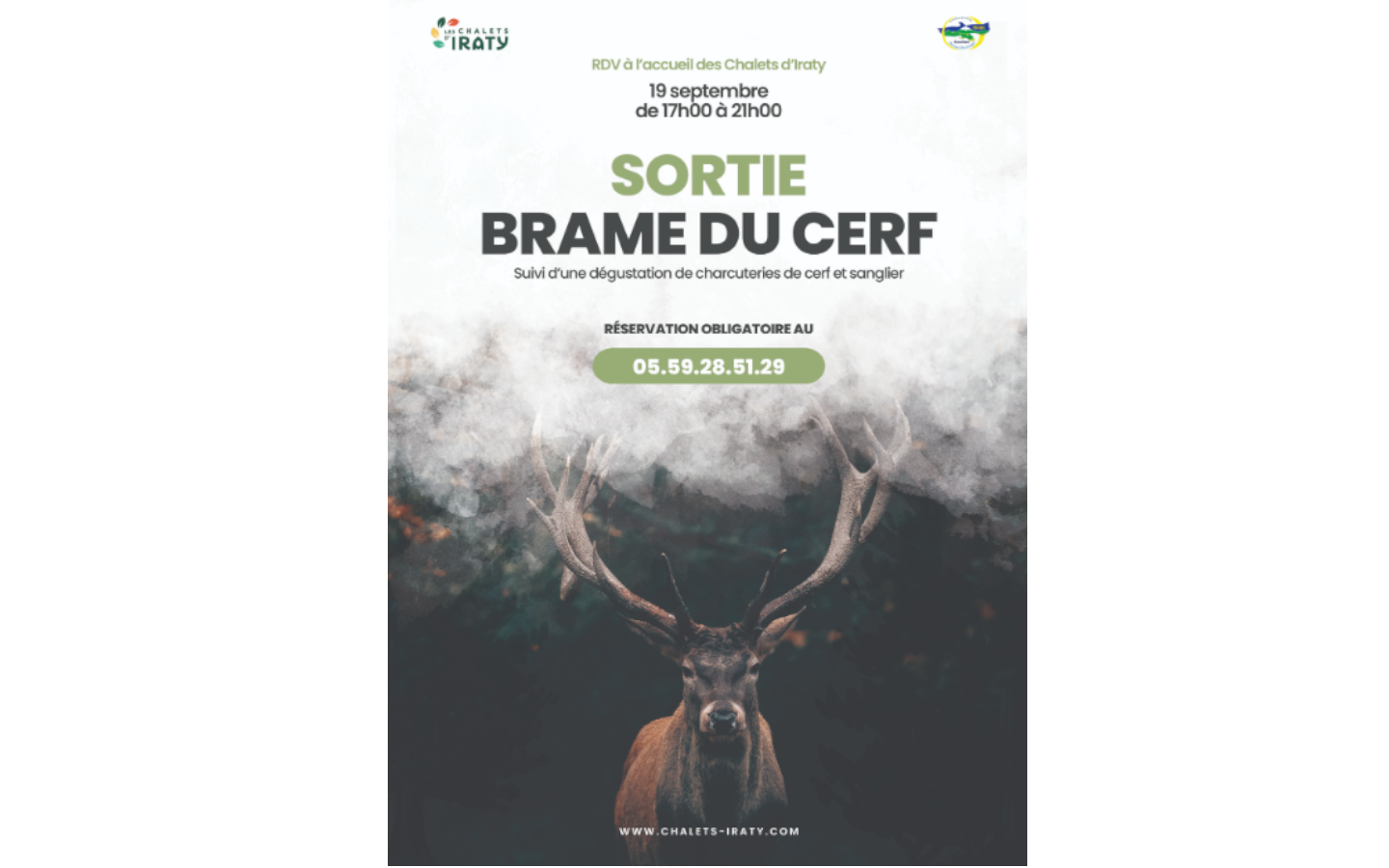 Sortie brame du cerf avec dégustation