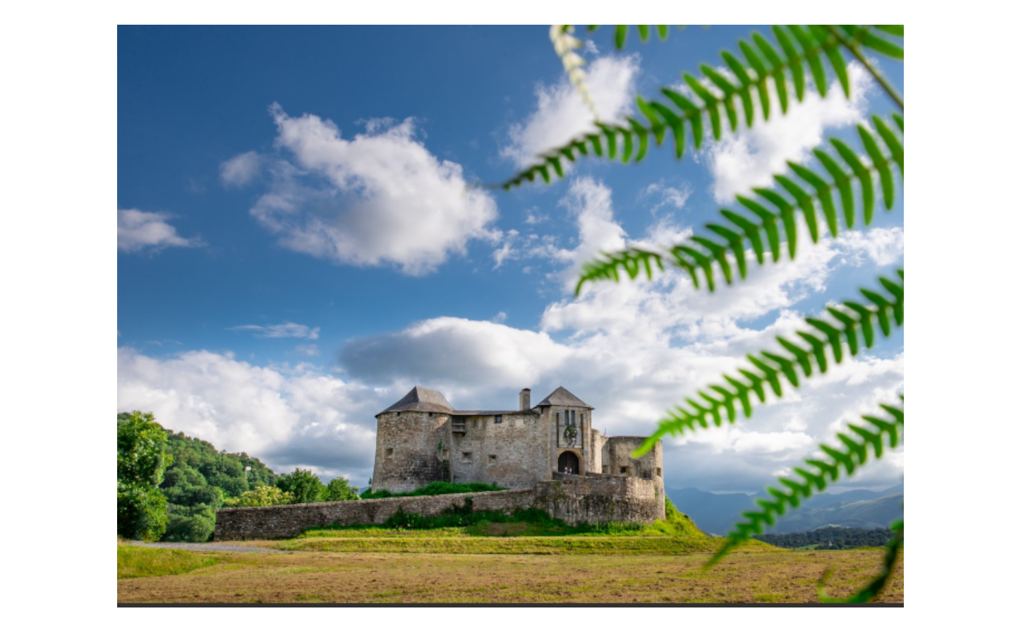 Journées du Patrimoine : Château fort