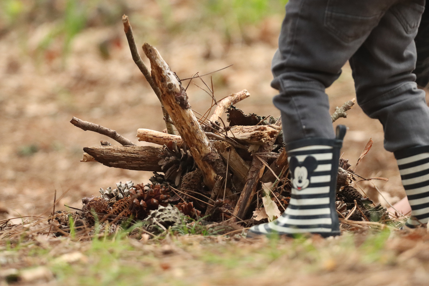 Les 5 sens en automne