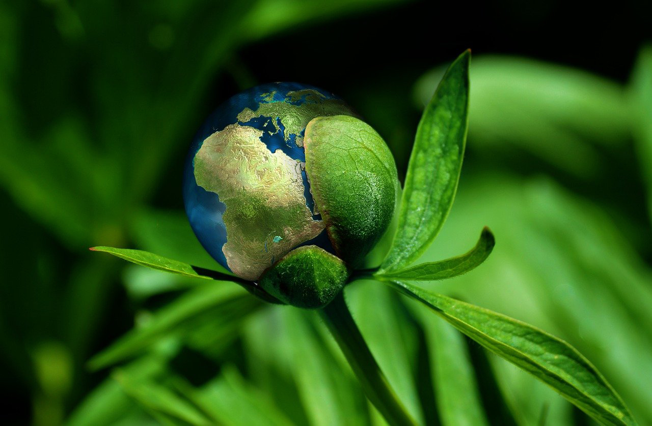 Jeu de piste "Biodiversité et climat même comb ...