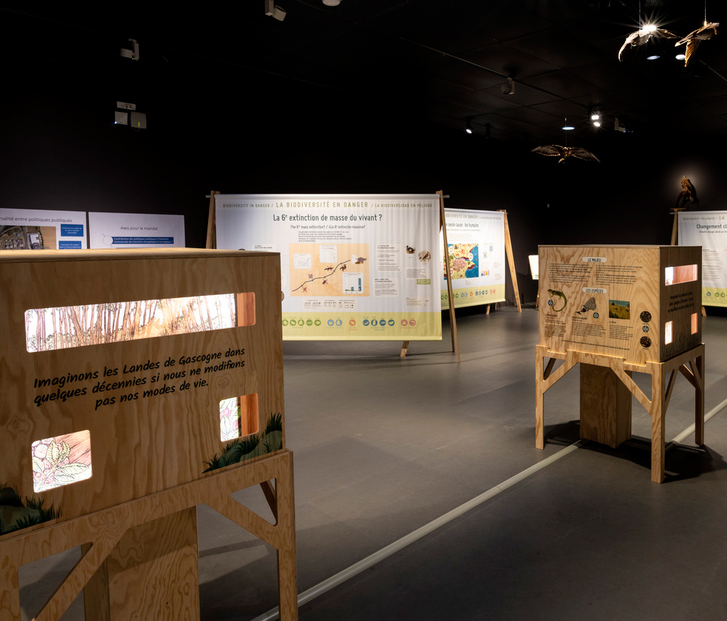 Visite animée de l'exposition "Les sentinelles ...