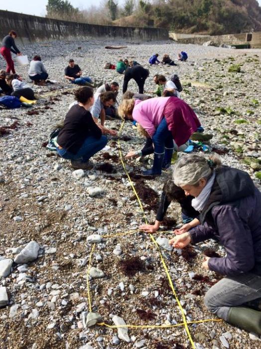 BIOLIT - Les Observateurs du Littoral : partic ...