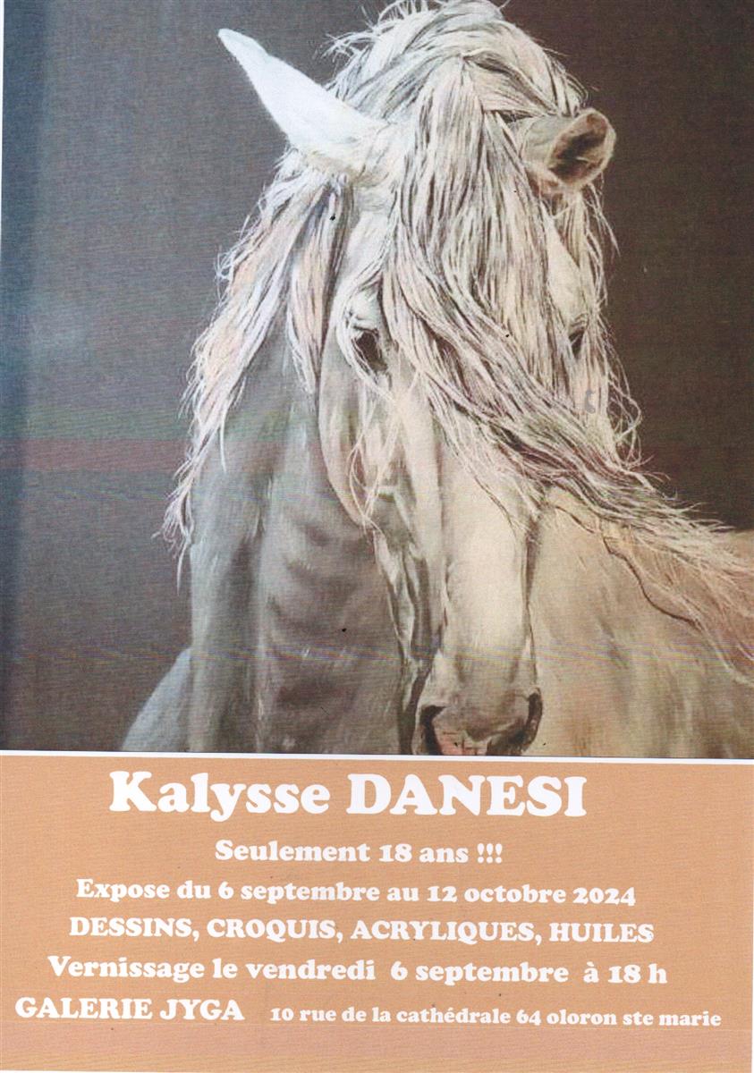 Exposition de Kalysse Danesi