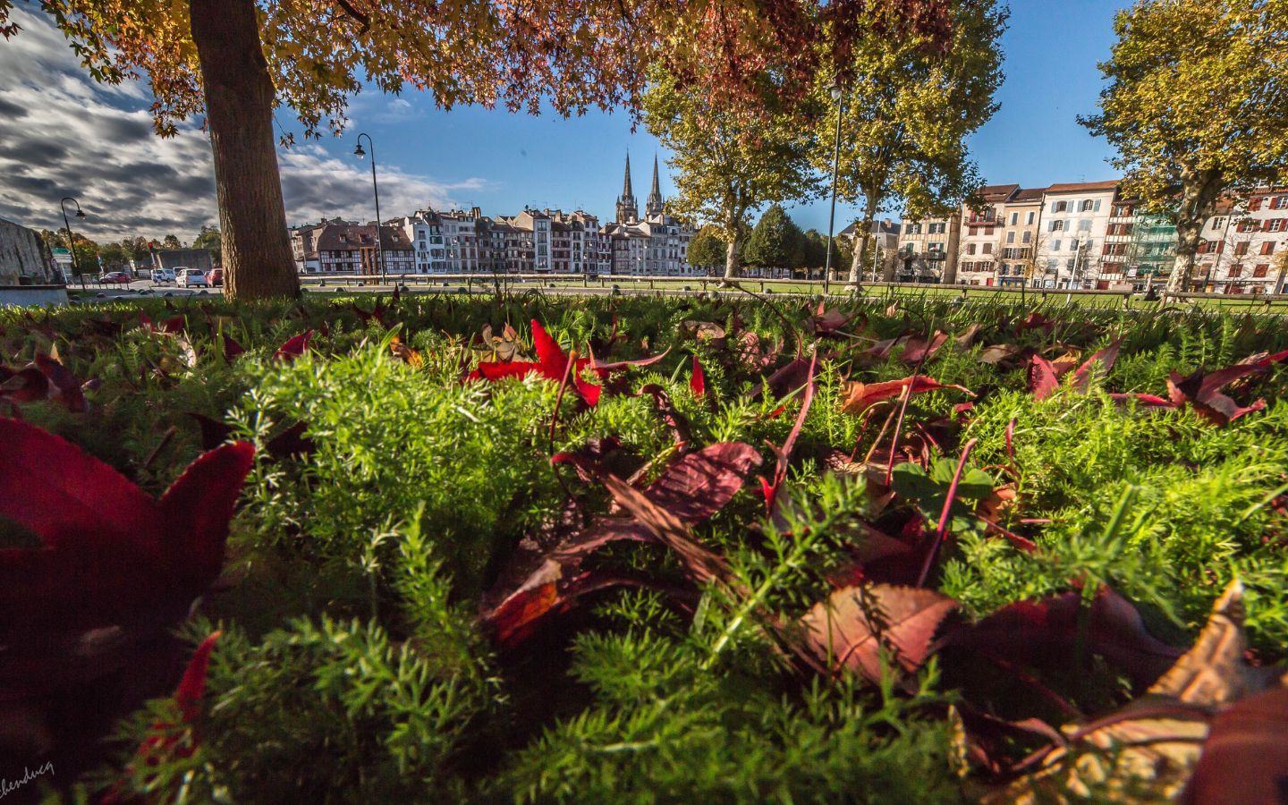 Pause Patrimoine : Bayonne à la carte : Acte III