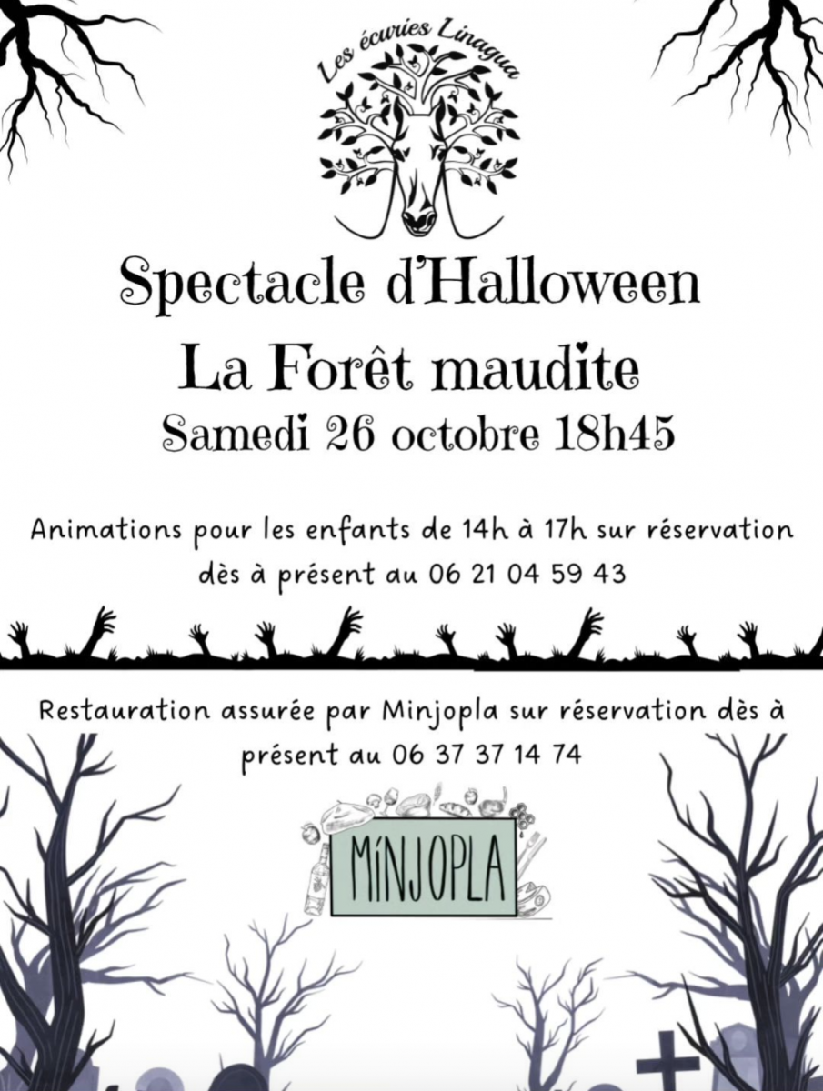 Spectacle équestre gratuit "La forêt maudite"