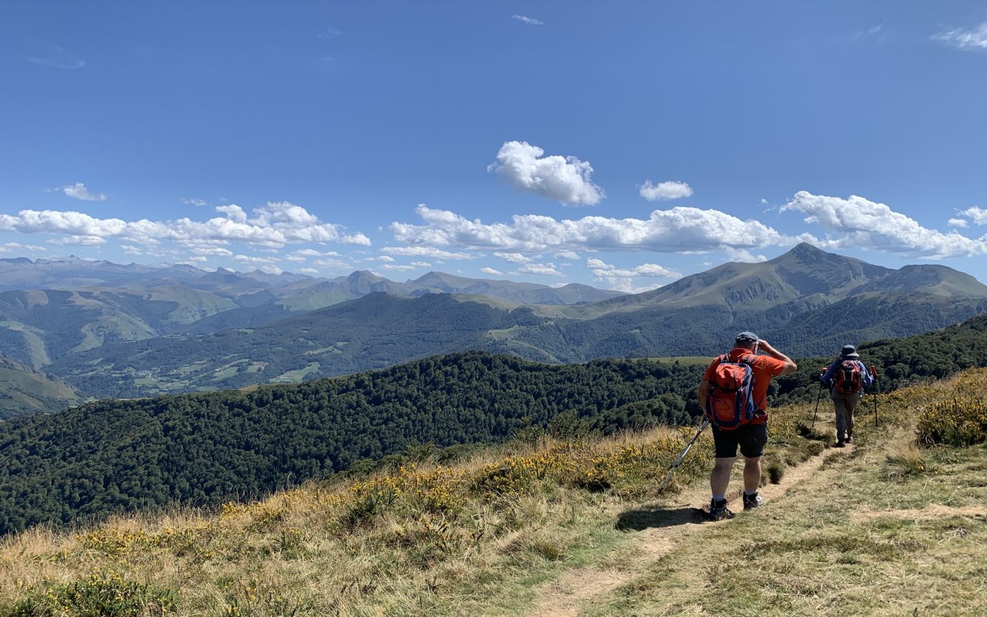 Initiation à l'escalade avec Zeharka