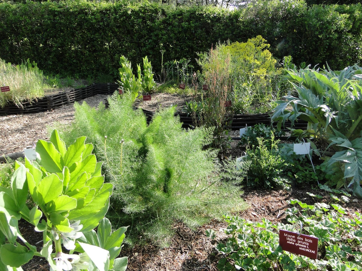 Atelier "Le jardinage au naturel et zéro déchet"