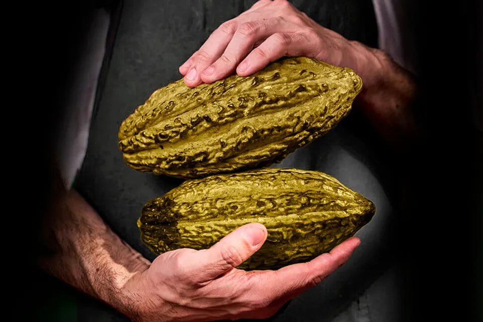 Expériences autour du cacao et du chocolat à Irún