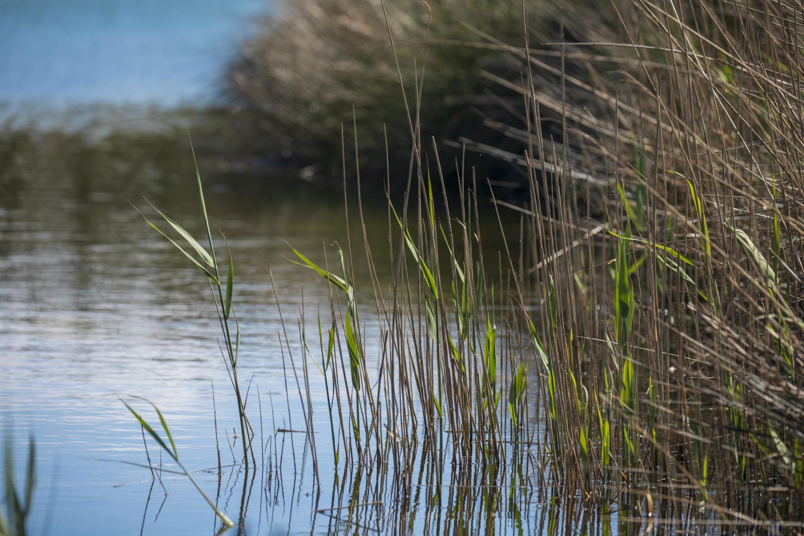 Wild immersion at the Izadia Ecological Park i ...