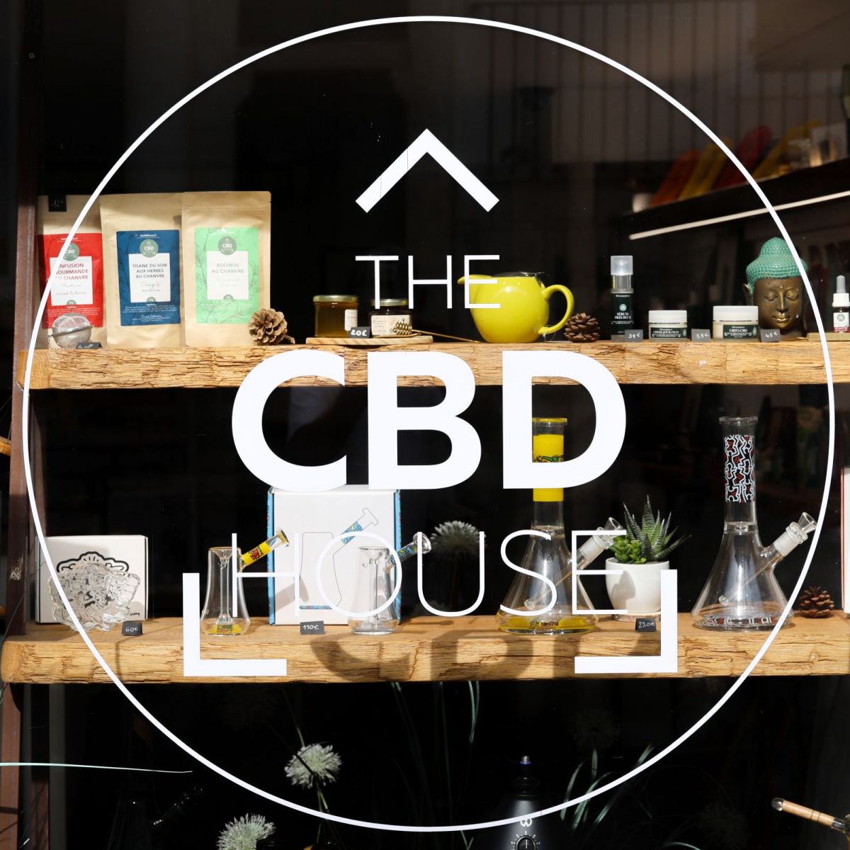 The CBD House : Précurseur de produits à base de CBD en France et au Pays Basque