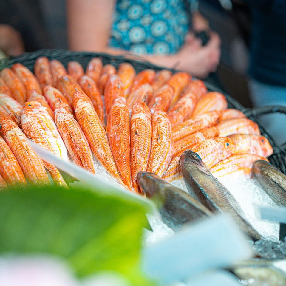 Poissonnerie Traiteur dans les halles de Biarritz - Poissonnerie Traiteur dans les halles de Biarritz