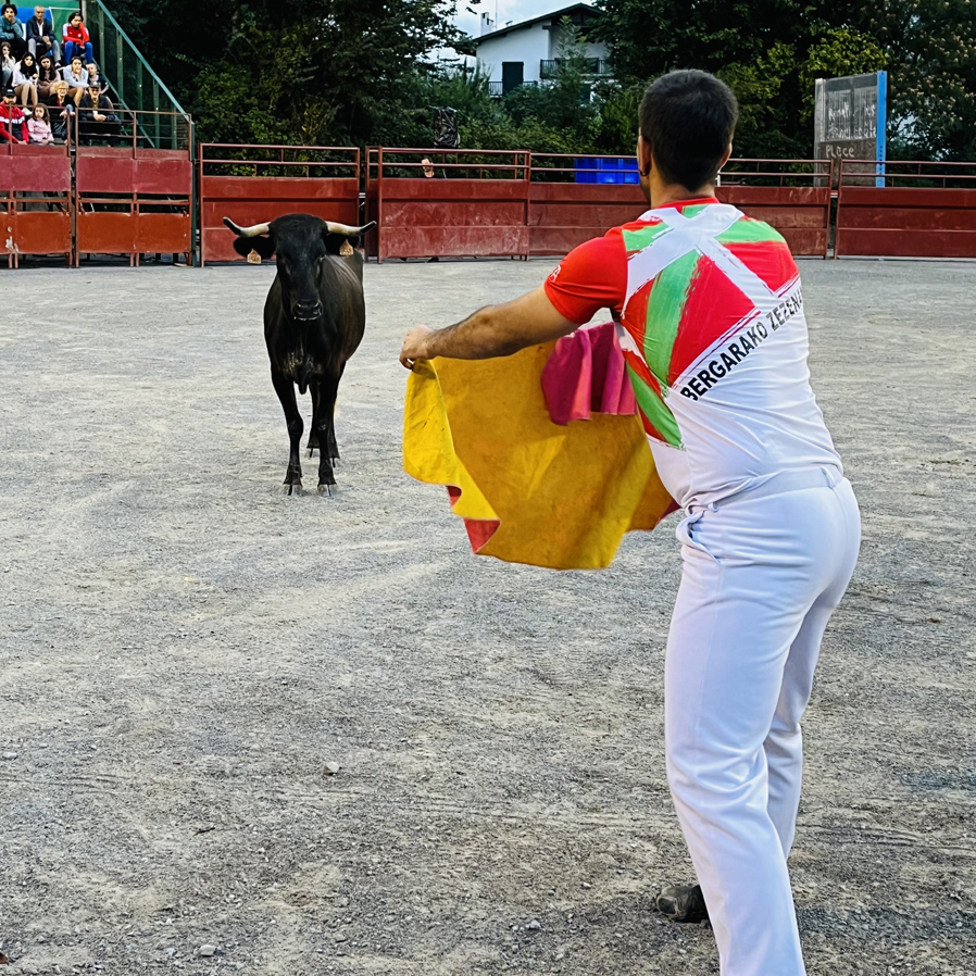 Esprit Taurin - Group guided tour of the Bayonne bullring (reservation required)